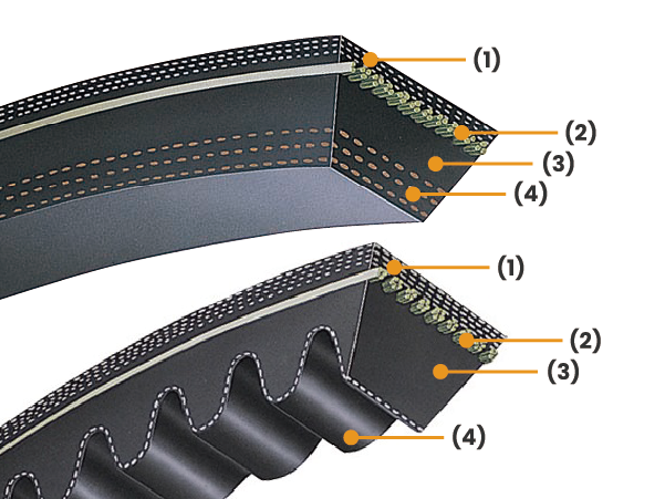 Raw edge wide angle belt (multi-ply, cog)
